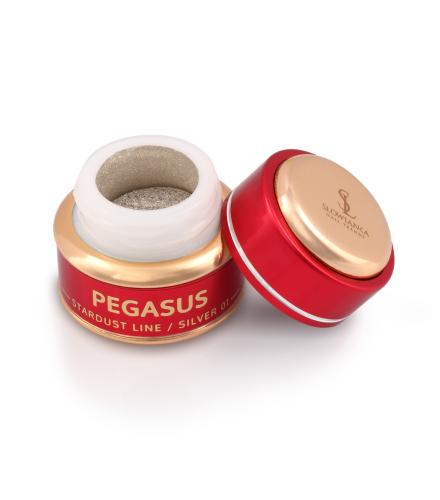 Mirror Effect 01 Pegasus Silver Puder 2g | Slowianka Nails