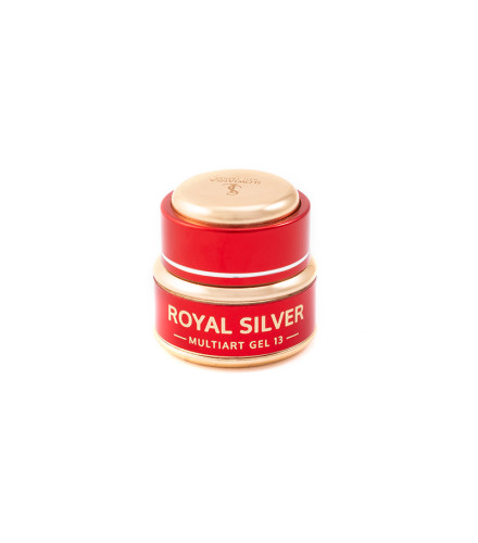 Multiart Gel 13 Royal Silver 5g | Slowianka Nails