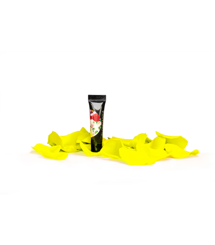 Arter Yellow Paint 5g | Slowianka Nails