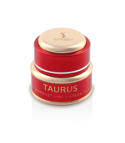 Mirror Effect 06 Taurus Green Puder 2g | Slowianka Nails