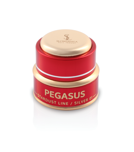 Mirror Effect 01 Pegasus Silver Puder 2g | Slowianka Nails