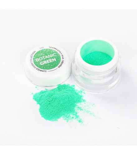 Summer Snow S01 Botanic Green Puder 3g | Slowianka Nails