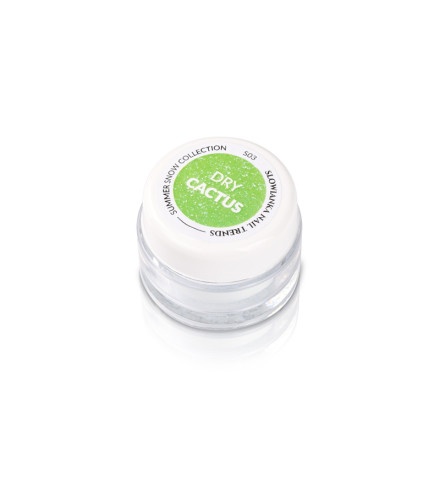 Summer Snow S03 Dry Cactus Puder 3g | Slowianka Nails